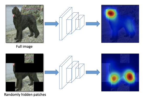 Data%20Augmentation%20in%20Computer%20Vision%20e6d69b40b13a4b3e953d35947d67a5d7/Untitled%205.png