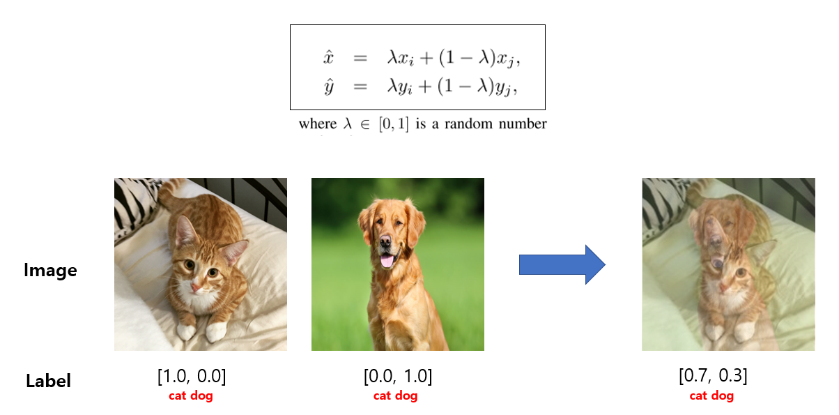 Data%20Augmentation%20in%20Computer%20Vision%20e6d69b40b13a4b3e953d35947d67a5d7/Untitled%207.png